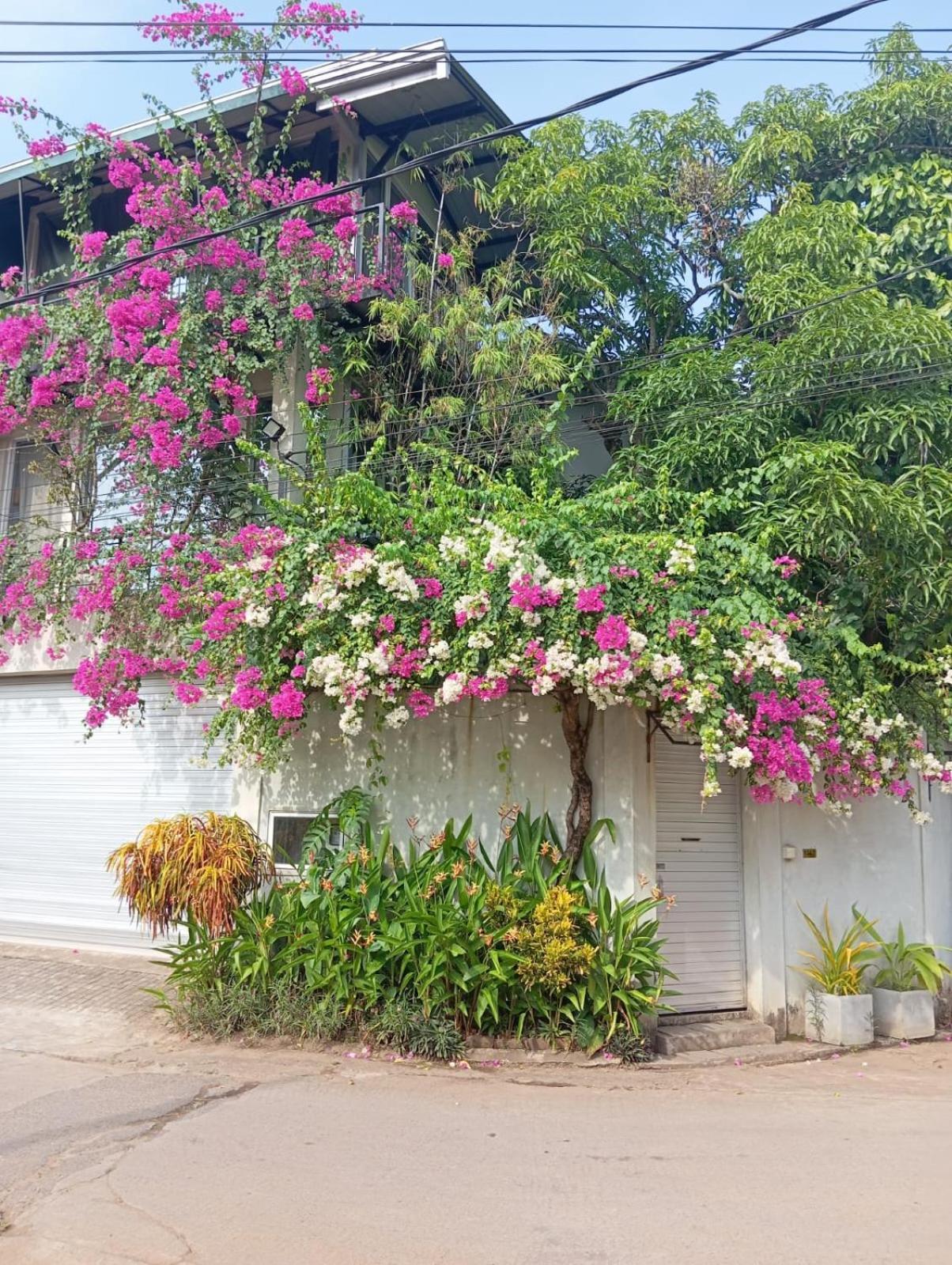 Kelaniya Heritage Extérieur photo